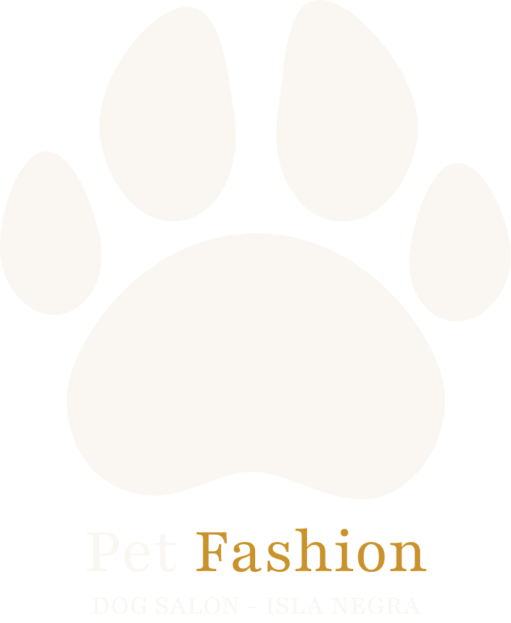 Pet Fashion Dog Salon
